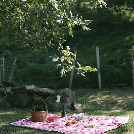 Domek alpejski Casa Goikomaia