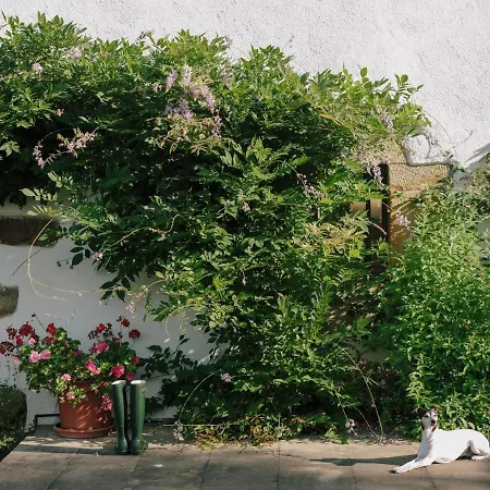 Casa Goikomaia * Arrazola